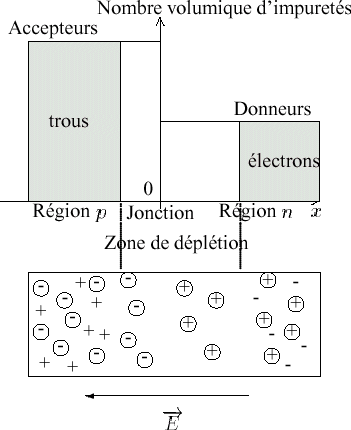 jonction PN avec définitions