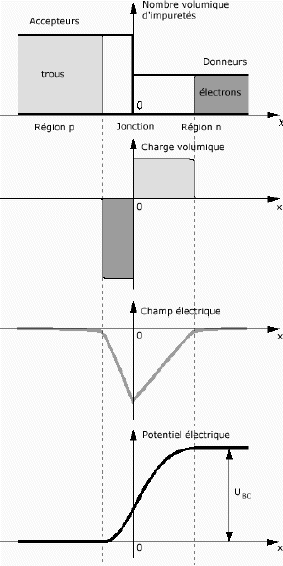 jonction PN avec définitions